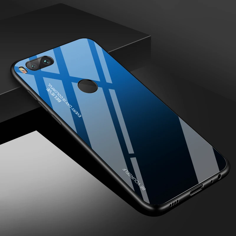 Gradient Tempered Glass case (9)