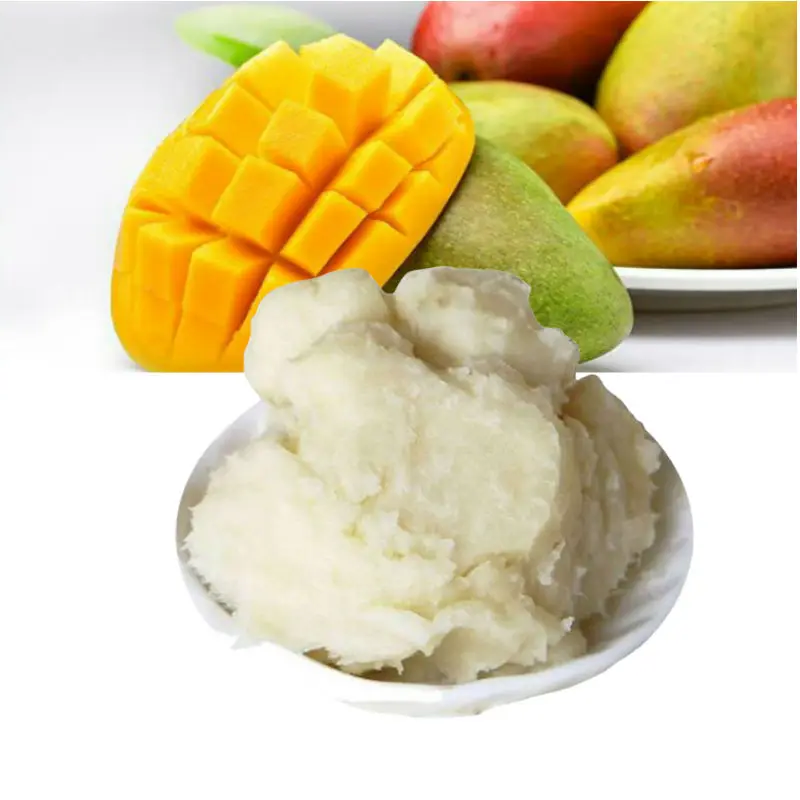 Organic Mango Butter 2