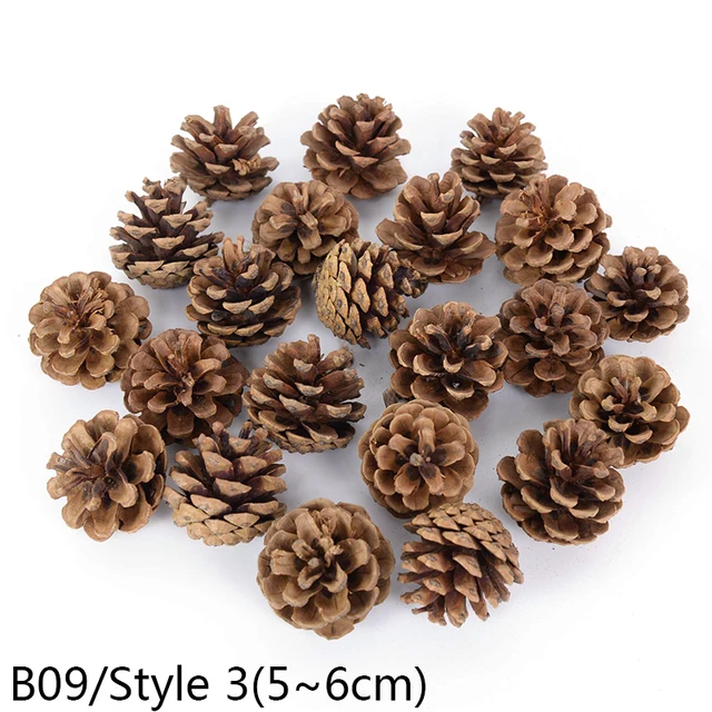 1-10pcs Natural Pine Nuts Fruit Dried Artificial Flower Pineapple Cones for Christmas DIY Garland Wreath Wedding Home Decoration B09-5pcs