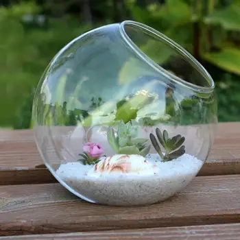 

Transparent Glass Vase Bottle Terrarium Decor Clear Home 15cm Home 15cm Round Pot DIY Garden Flower Wedding Container