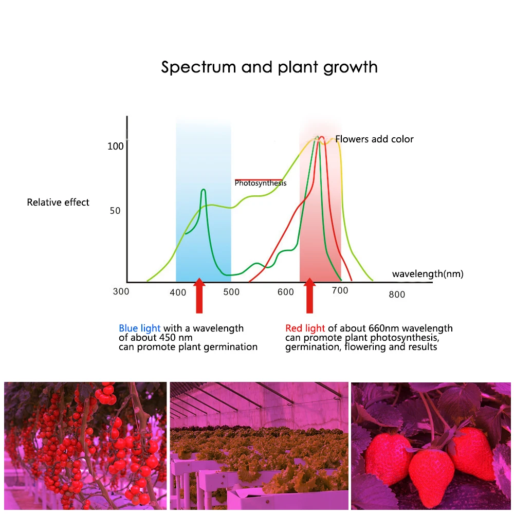 Full-Spectrum-Led-Grow-Light-10W-30W-50W-80W-Red-Blue-UV-IR-Led-Growing-Lamp (3)