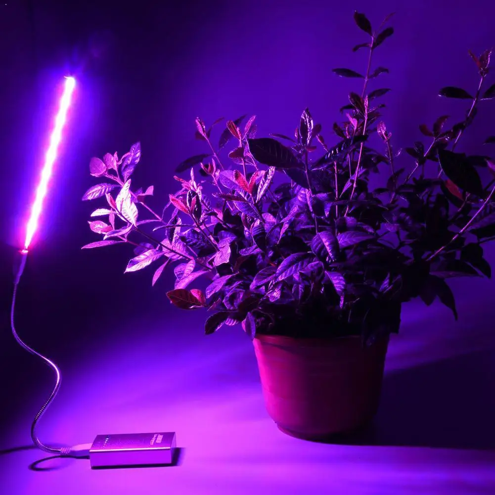 

Indoor Imitating Sunlight Fill Light Full Spectrum Flower Blue Red Light Fleshy Plants Light Plant Growth And Led Usb Flowe O2B5