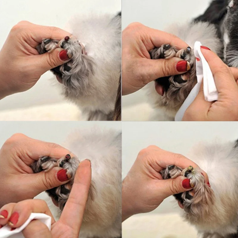 14 г/бутылка Pet стиптический порошок для собак и кошек Антибактериальный порошок анальгезии медицинские принадлежности для домашних животных для быстрого гемостаза