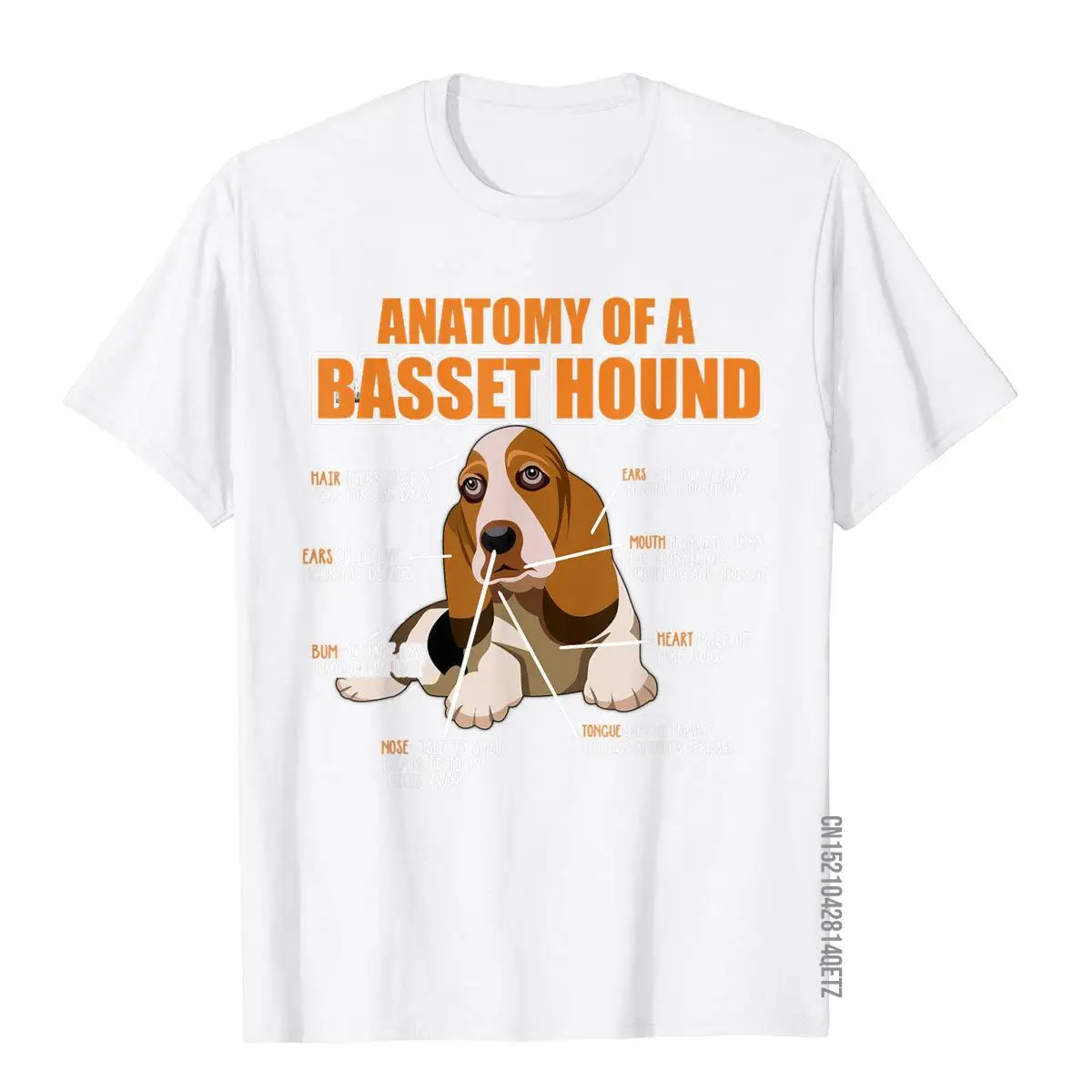 Camisa CACHORRO BASSET HOUND - LET'S GO FOR A WALK