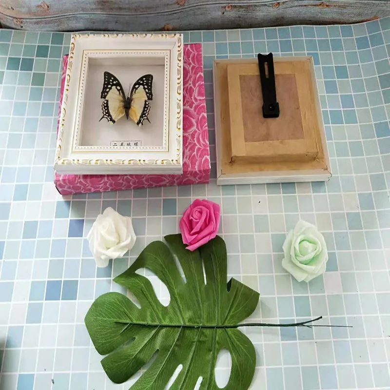 Butterfly Specimen Butterfly Real Specimen butterfly specimen photo frame craft /Butterfly Specimen Artwork Material Decor
