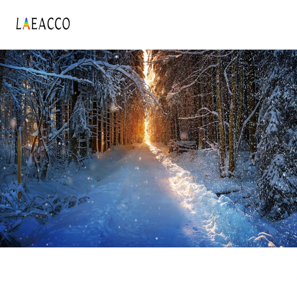 Laeacco Лес Дерево деревья Сумерки снежный зимний пейзаж фоны для фотосъемки