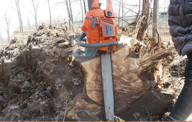 Professional Chainsaws - Heavy Duty Chainsaws