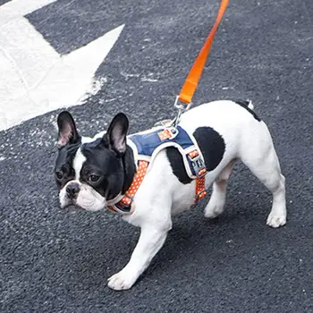 

Pet Polyester Harness Dog leash For Leash Reflective Safe Walking Vest For Small And Medium Dogs Pet Vest For Walking