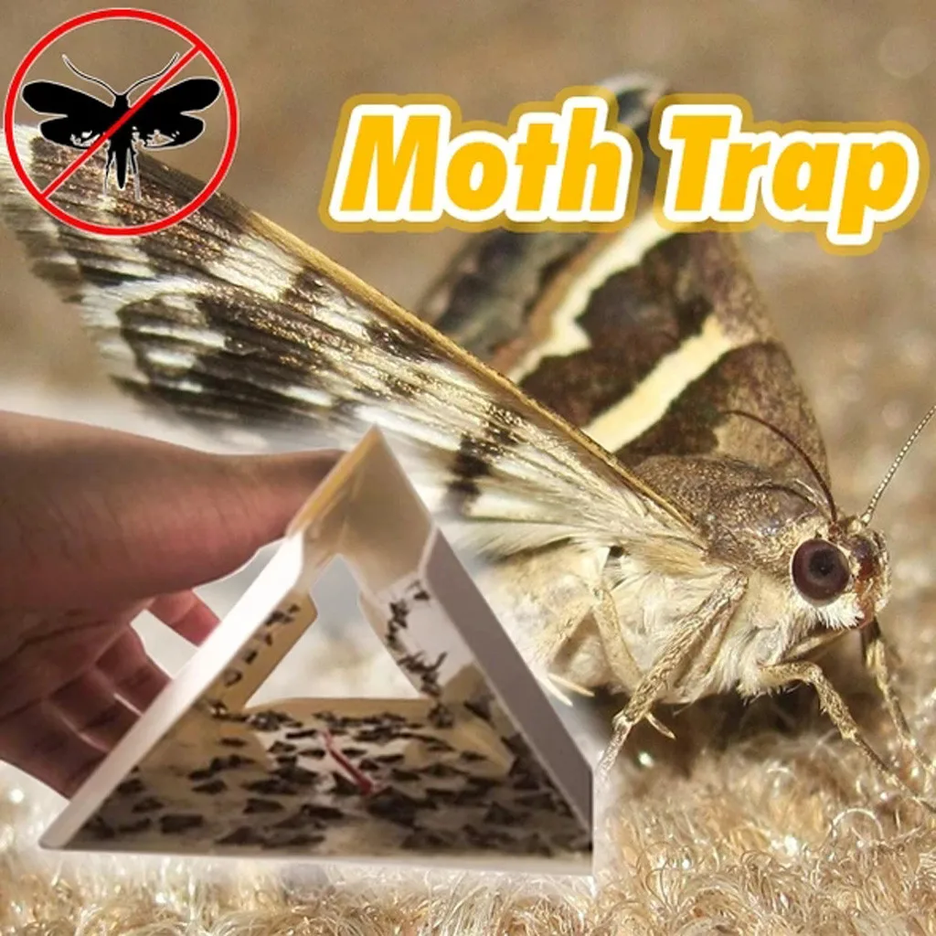 

5 PC moth catcher Buzz Fruit Fly Bug Mosquito Killer Insects Pest Catcher Fly Trap Sticker Board For Kitchen Farm Plant Garden