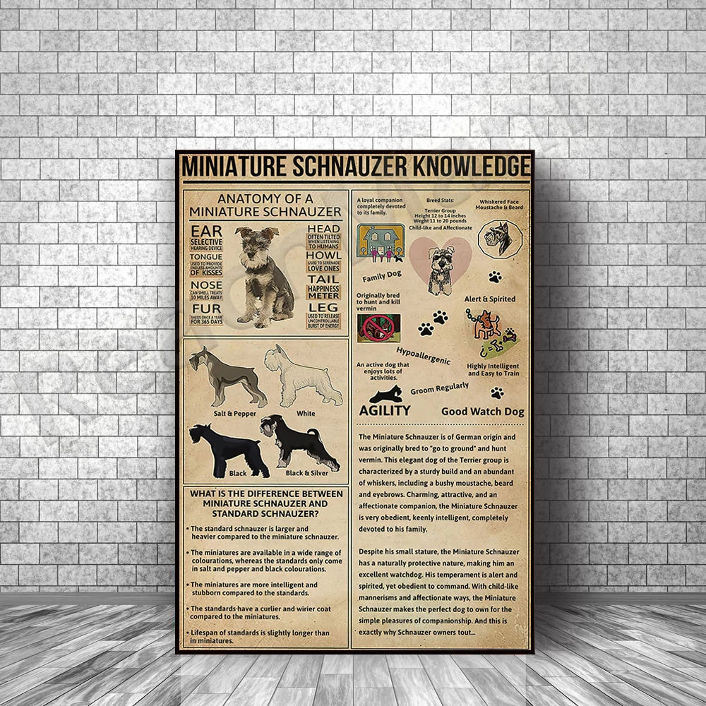 

Mini schnauzer knowledge poster, dog poster retro, dog wall art, pet poster, dog lover's gift, animal knowledge poster