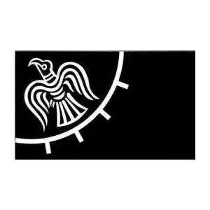 90*150 см викингов Ворон Летающий на заказ Открытый VR2 флаг для украшения