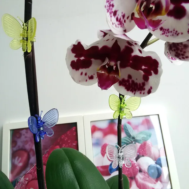 10 db Műanyag Szőlőjavító Klip Színes Kreatív Szitakötő Pillangó Alakú Növényi Oltó Rattan Rögzítő Kerti Kellékek - Image 6