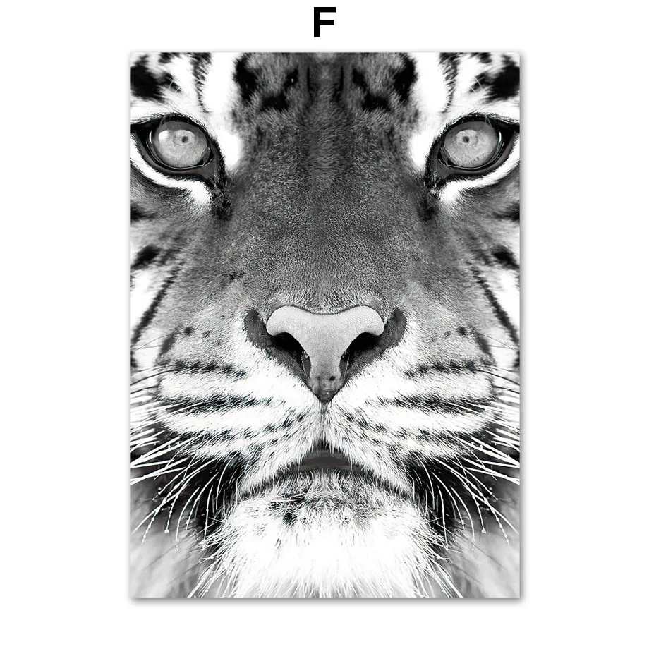 Lion-Tiger-Elephant-Nordic-Vintage-Poster-Green-plants-cactus-Wall-Art-Print-Canvas-Painting-Wall-Pictures (8)