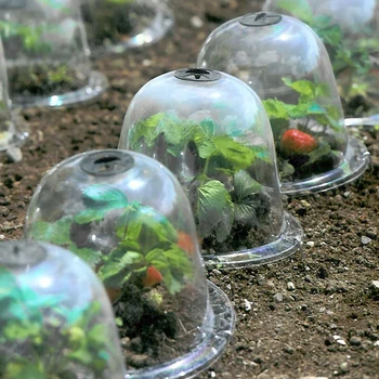 

2pcs Mini Plant Cover Outdoor Insect Prevention Garden Tool Succulent Transparent With Nails Seedling Flowers Frost Protection