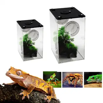 

Acrylic Reptile Feeding Box Transparent Panorama Insect Breeding Box Snake Spider Lizard Scorpion Feeding Cage Protective To Use
