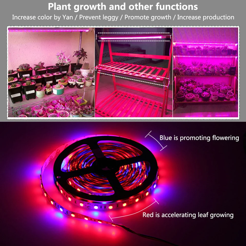  5M LED Grow Light Strip Full Spectrum UV Lamps for Plants Waterproof Phyto Tape with Adapter and Sw - 4000249805601