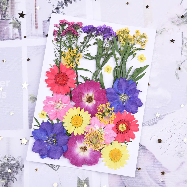 

New Style Dried Flower Phone Case Students Handmade DIY Mixed Dried Flower Material Box Pressed Flower Embossed Real Flowers Pla