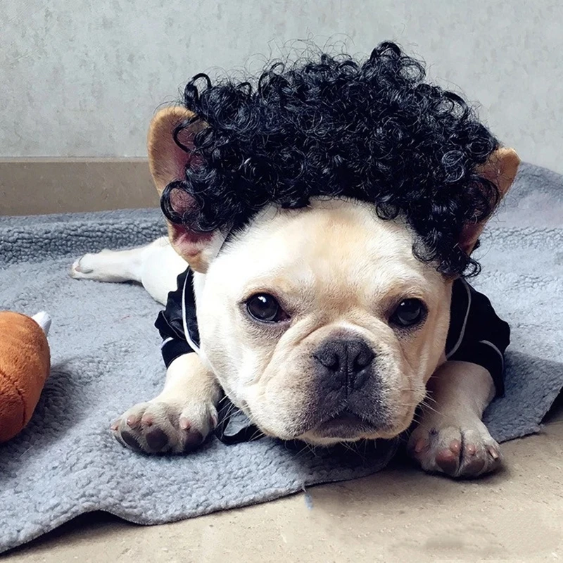 French Bulldog Funny Pet Dog Wig Soft Synthetic Hair Dogs Cute Cap For Cosplay Halloween Costume Fancy Dress Lovely Gift HPC01