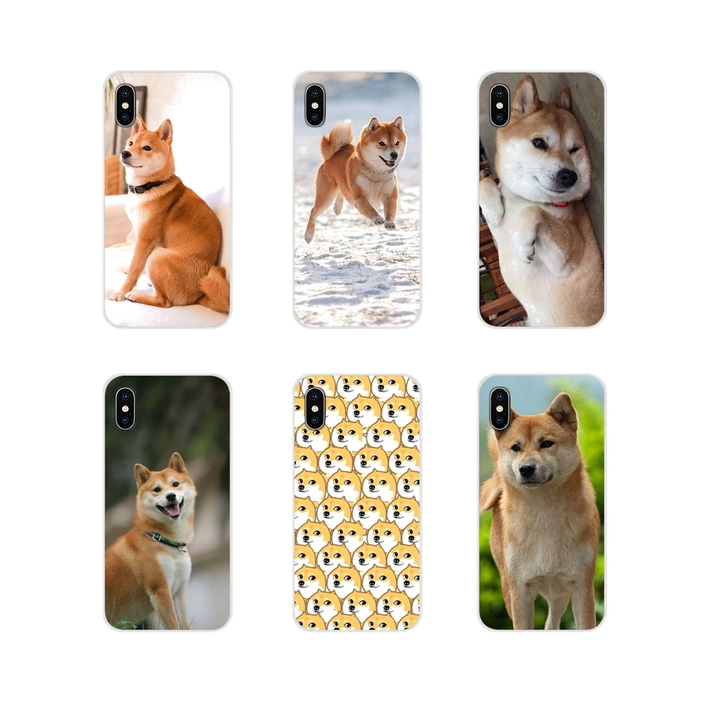Кустарник Doge Сиба ину Лисья Секретная служба (Inu смешная собака прозрачную