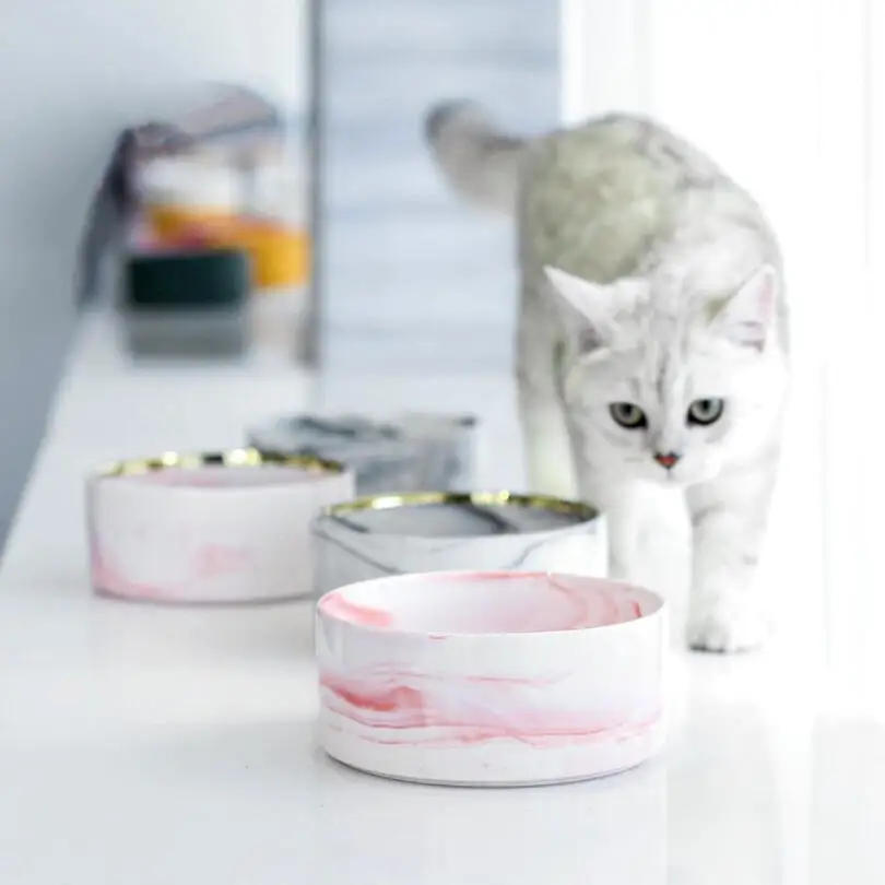 TECHOME New Type Pet Bowl Ceramic Marble Texture Cat Feeder Home Pet Ceramic Bowl Gold Rim Bowl Round Pet Feeders Wooden Frame