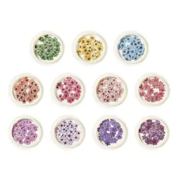 

11pcs /set Simulation Romantic Flower Nail Art Manicure Handcraft Slices Nails Art Decoration Accessories