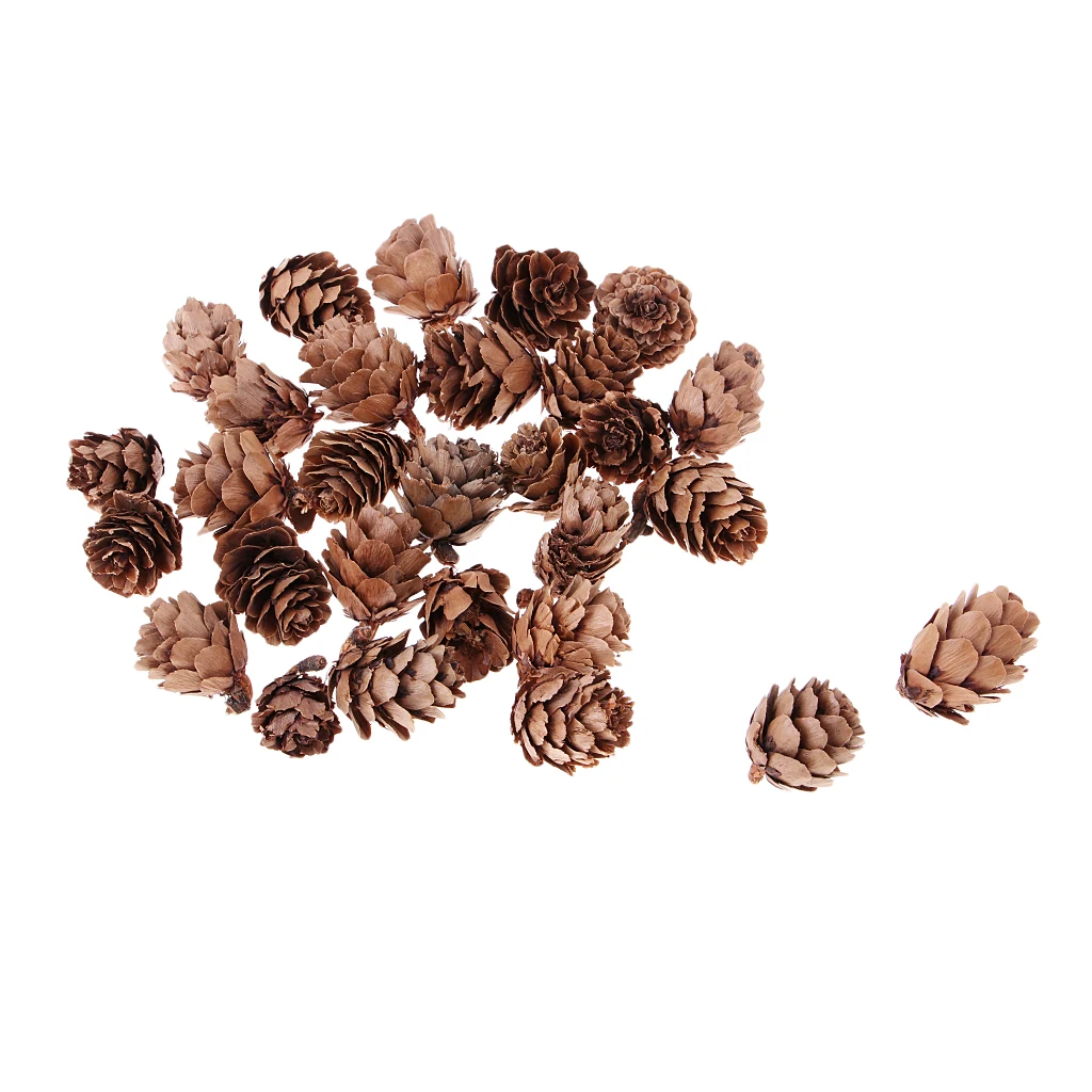 MagiDeal 30 Pieces Real Natural Pine Cones Decorative Pinecone Bauble Xmas Tree Tree Toppers Decoration Home Tabe Decor