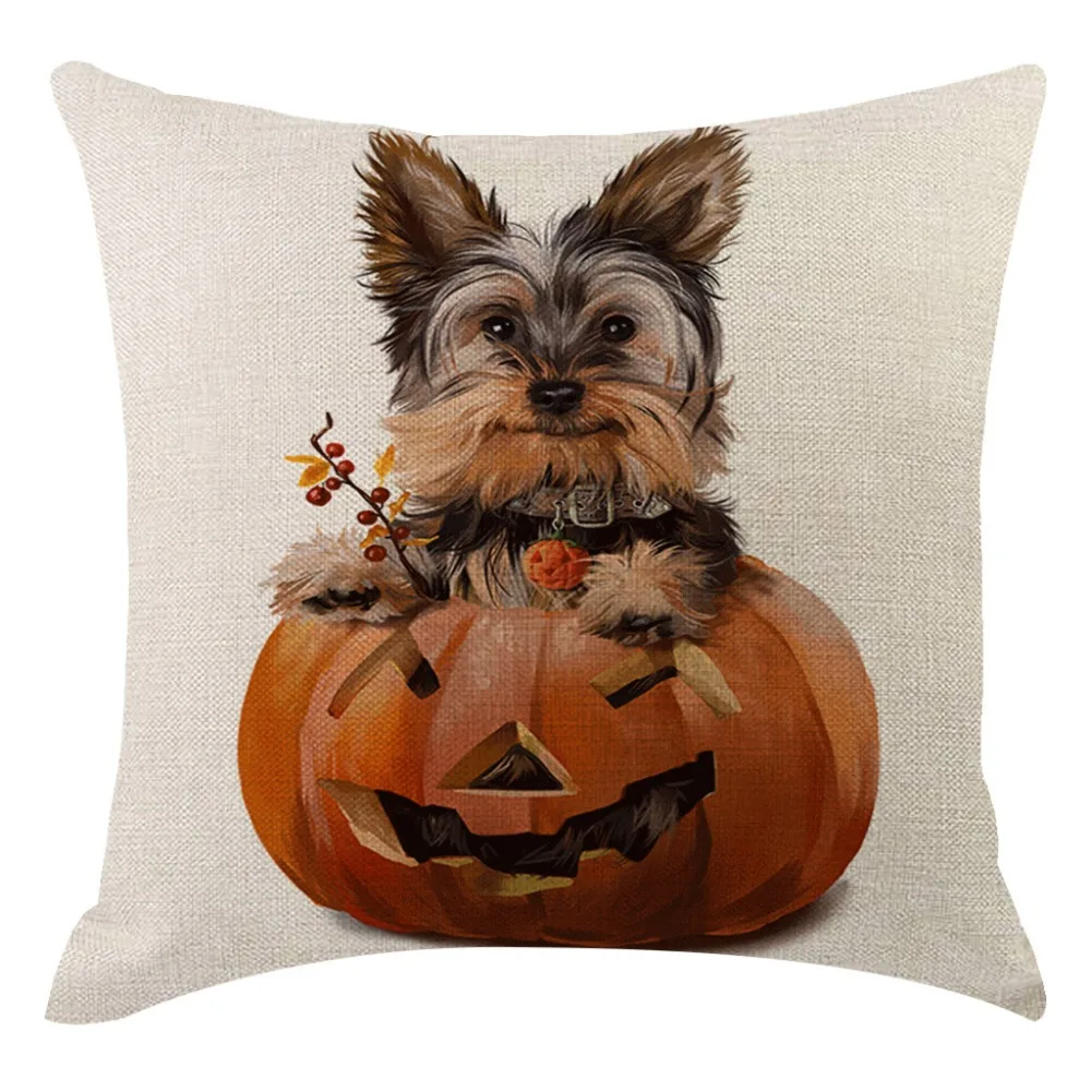 16 - XHD90807004_0926173054928893167