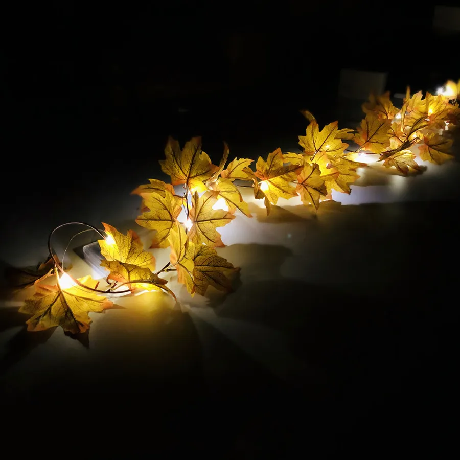 11025521835_171548661