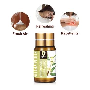 

Pyrrla 5ml Eucalyptus Pure Essential Oils For Aromatherapy Repellent Refreshing Cinnamon Basil Humidifier Diffuser Massage Oil