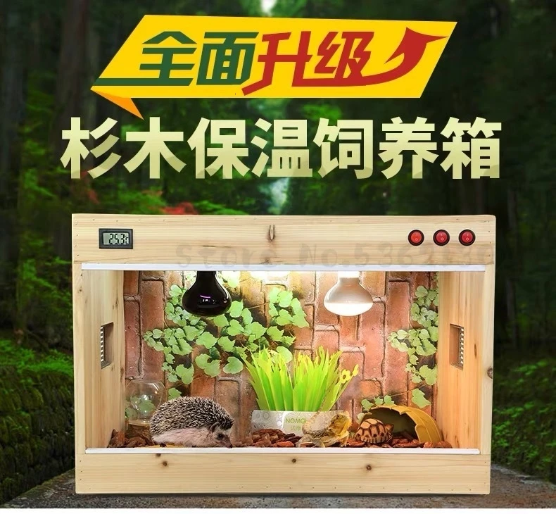 Cunninghamia lanceolata rearing box, tortoise box, lizard, spider, Guardian palace pet incubator