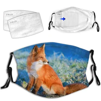 

Unisex New Style Fox Coconut Tree Letter Floral Printing Mask Outdoor Face Washable Breathable Reusable 1PC Mask With 2PC Filter