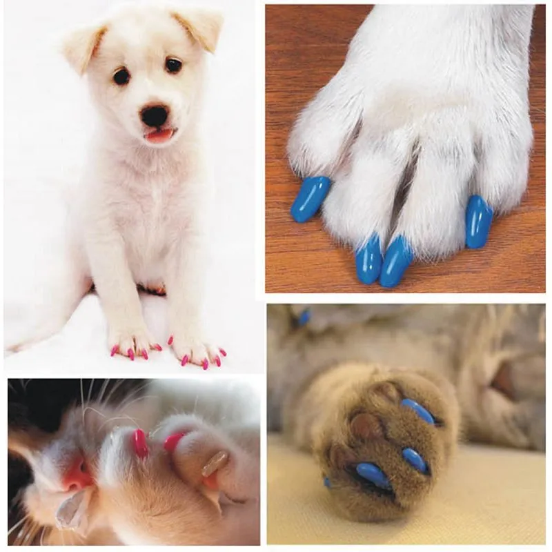 20 Pcs/lot Pet Dog Finger Grooming Floor Protect Pet Dog Nail Caps Claw Control Soft Paw Caps + Adhesive Pet Supplies