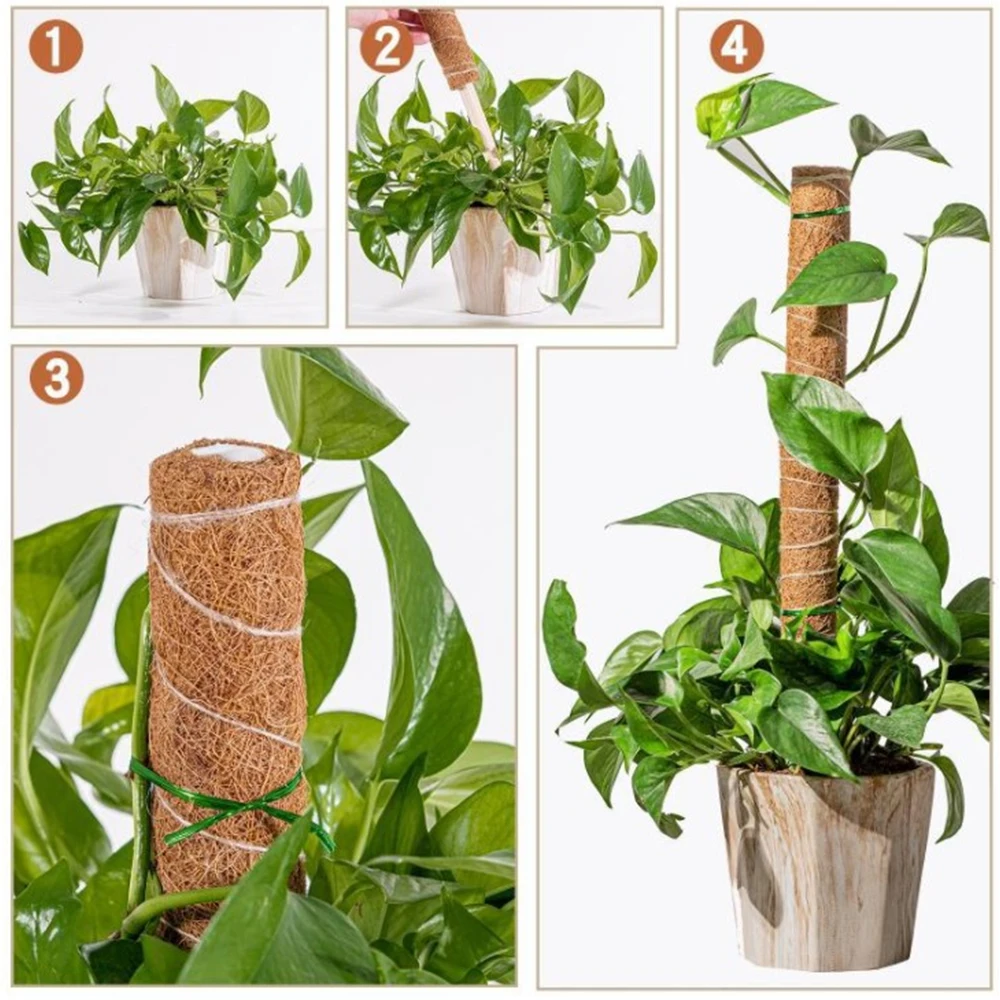 Plant Climbing Coir Pole Extendable Plant Support Climbing Indoor Potted Plants Monstera Creepers 30/40/50cm