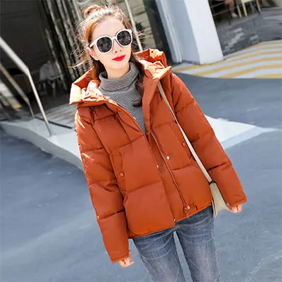 Однотонные свободные зимние хлопковые пальто с капюшоном, женские повседневные куртки на молнии размера плюс, корейские женские модные теплые парки Feminina - Цвет: Brown