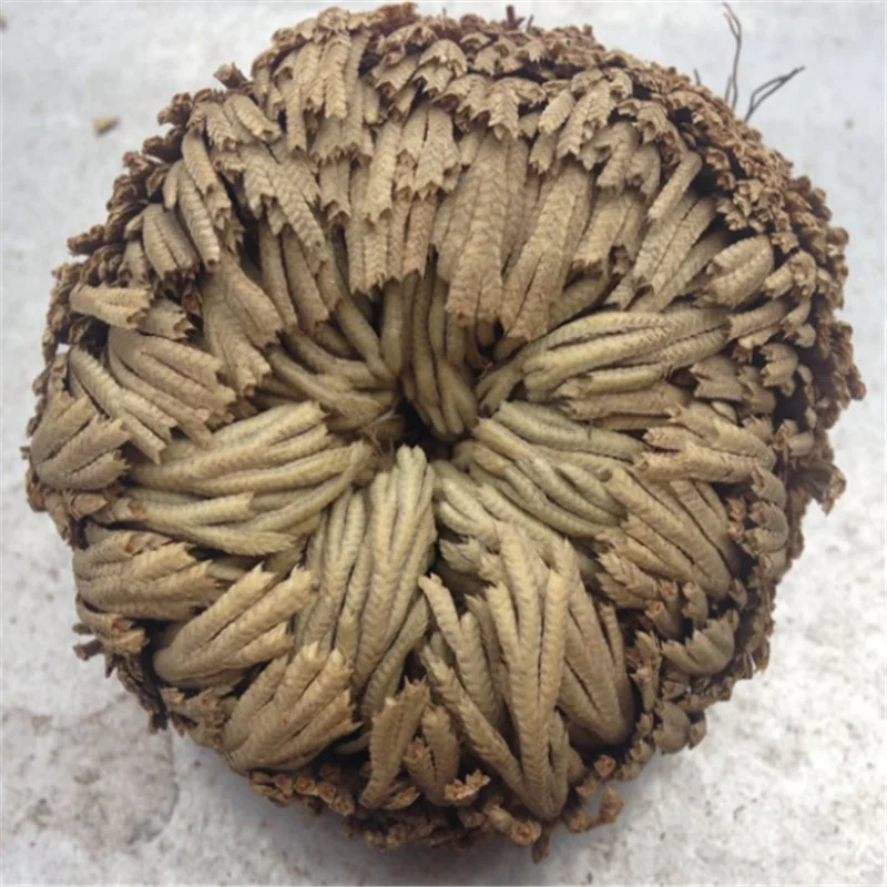 QQ截图20200508205000