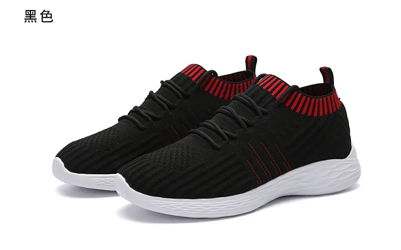 9136929003_232942001