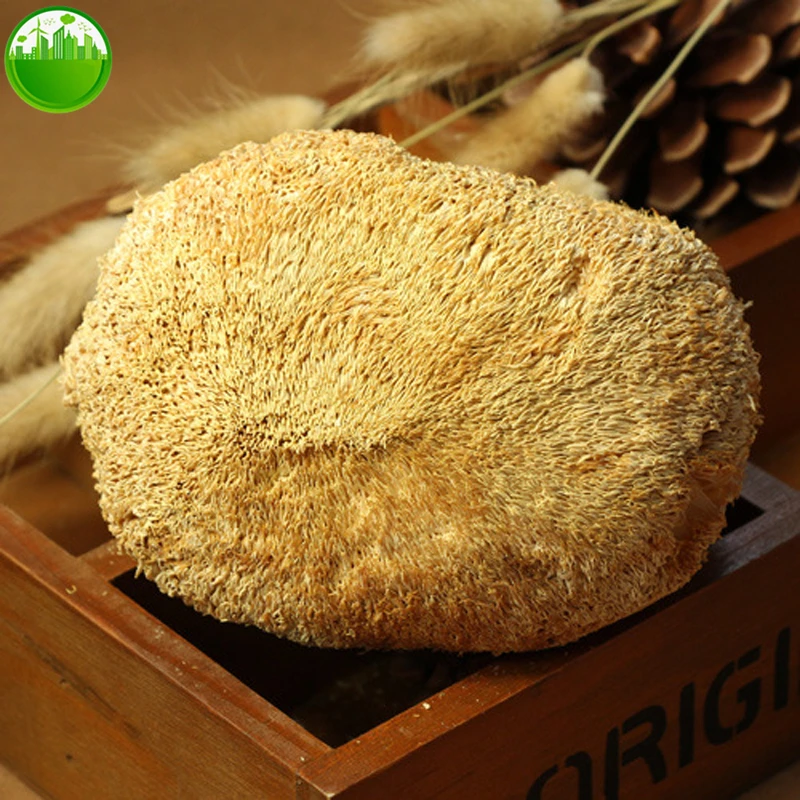 1202-1cf0a4.jpg Hericium Erinaceus Dried Lion's Mane Mushroom Monkey Mushroom
