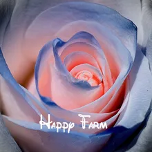 100 голубая и розовая роза бонсай, редкий цвет, богатый аромат, сделай сам домашний сад Роза растение сумасшедшее продвижение