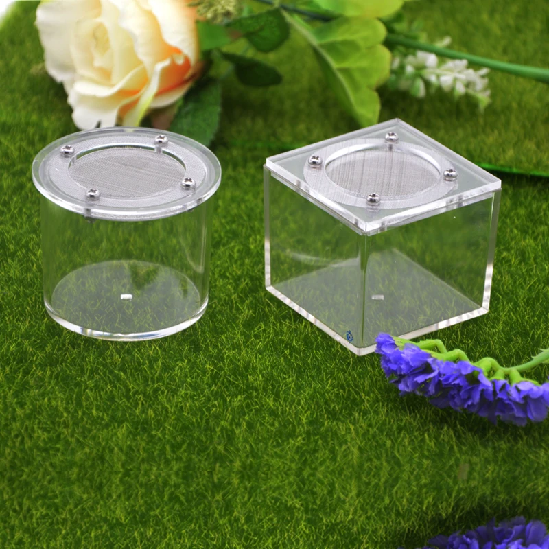 Caja de araña acrílica, tanque para reptiles, cantos e insectos, casa de granja, 1 Uds.