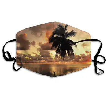

Custom Dustproof Mouth Mask Hawaii Dusk Reusable Outdoor Unisex Face Mask with Adjustable Earloops