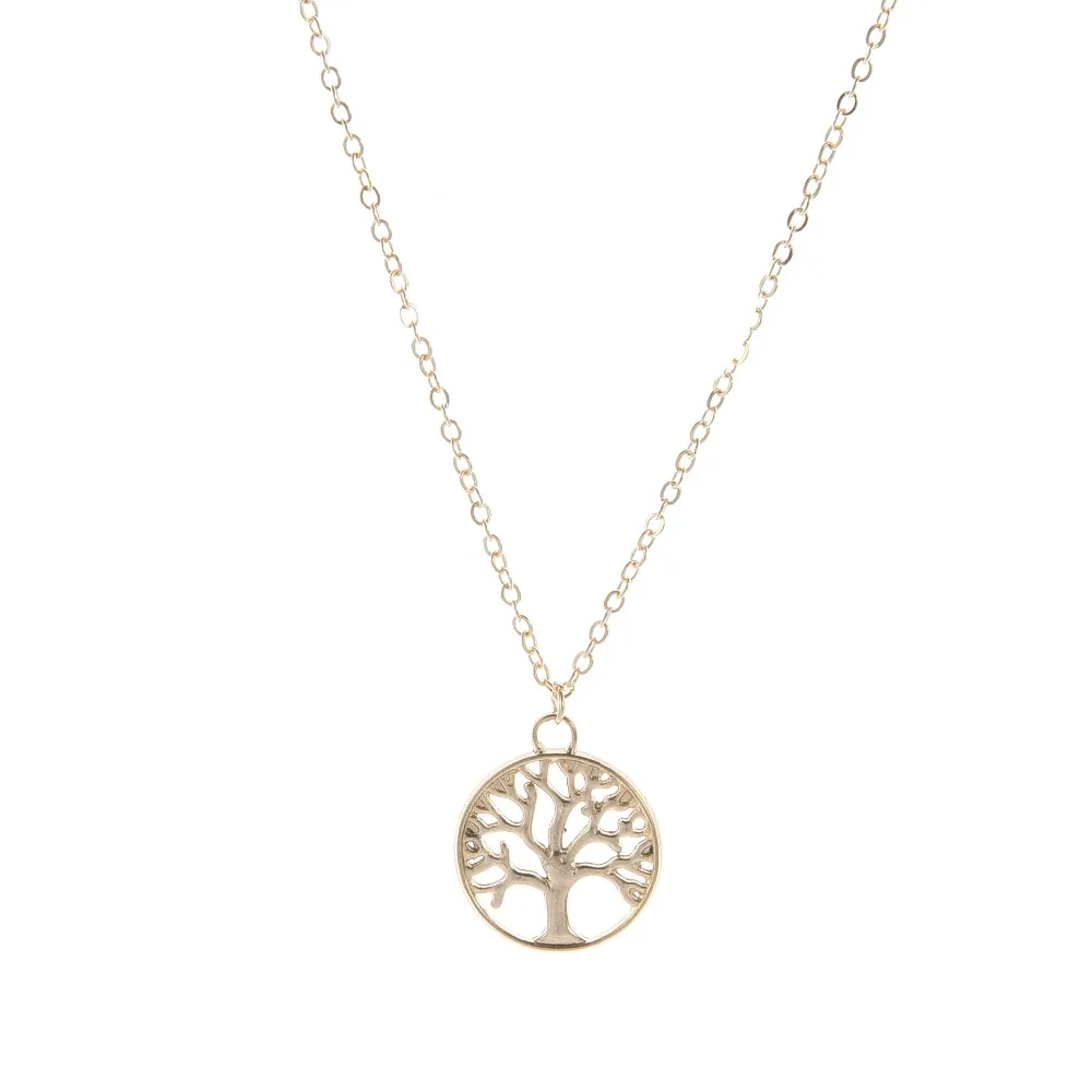 12649238925_499903332