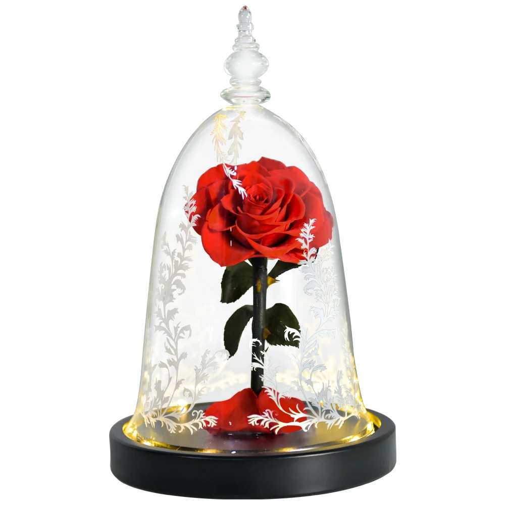 Beauty and The Beast Preserved Roses In Glass Forever Eternal Rose Flowers Christmas Valentine Gifts for Girls Mother Gift_voghion.com