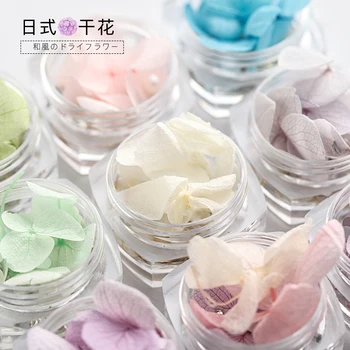 

1box Dried Flowers Nail art Decorations DIY Natural Pressed Flora Gel Manicure Stickers Hydrangea Leaf 3D Nail Rhinestones