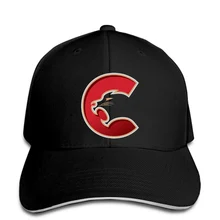 Мужская бейсболка с логотипом принца Джорджа кугарса Whl Snapback, женская кепка