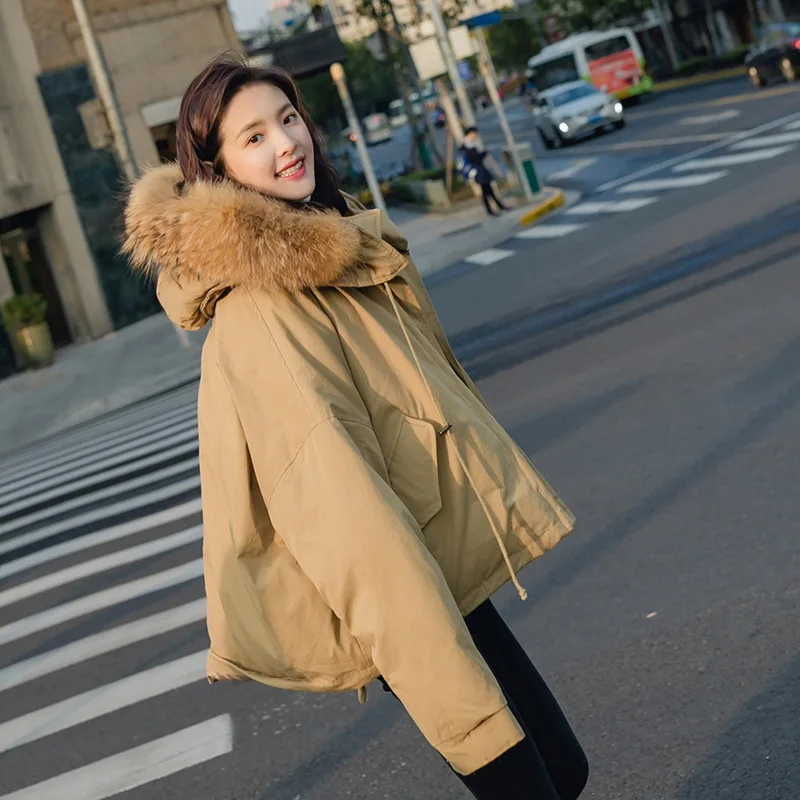 

ACZ Two-color Short Cotton-padded Clothes 19 Winter Korean-style Women's Loose-Fit Padded Large Fur Collar Cotton Coat