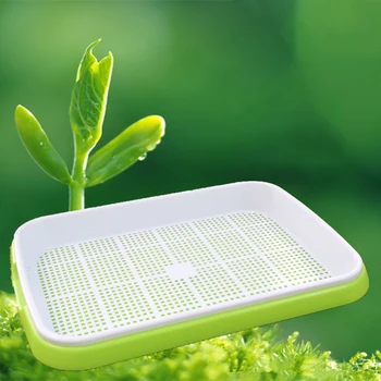 

Growing Box Nursery Pot Container Hydroponics Seed Germination Tray Seedling Tray Sprout Plate Grow Nursery Pots