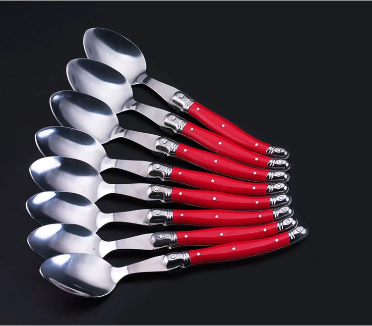 Laguiole dinner spoon set (1)