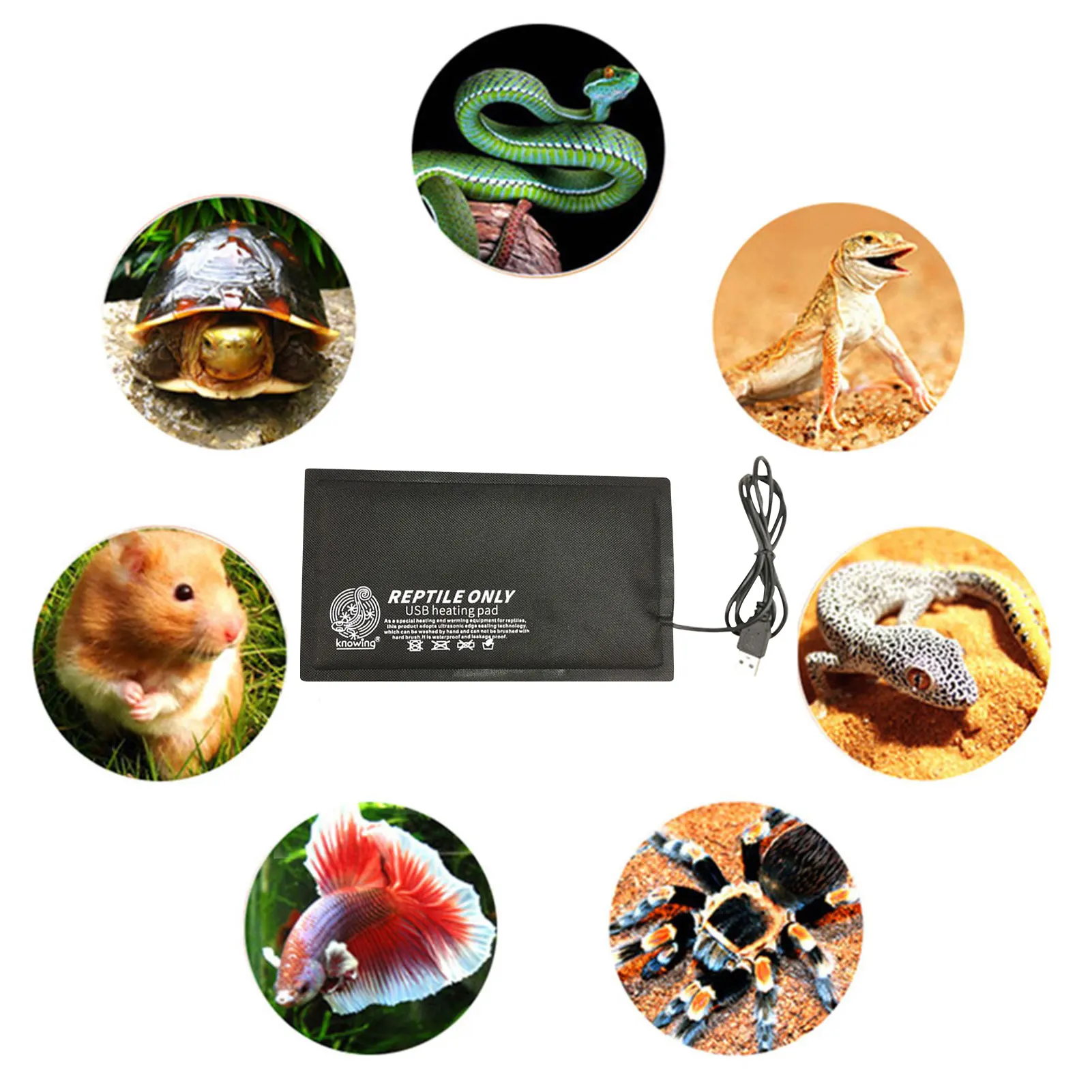 Reptile Heating Warm Pad Terrarium Heating Mat Waterproof Temperature Controller Incubator Mat Tools Turtles Snake Lizard For reptile heating mat