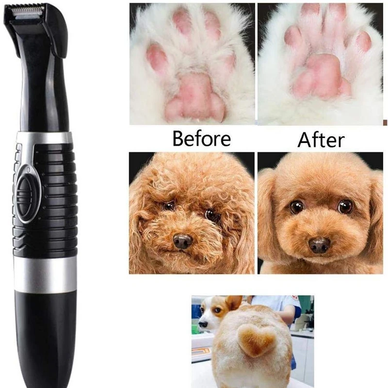oh la la dog grooming