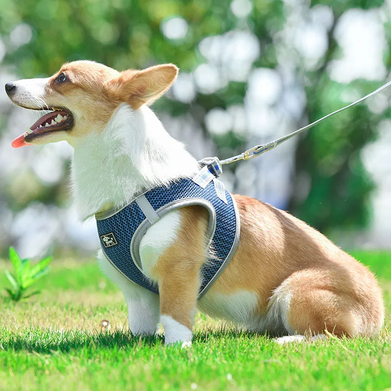 

5 Colors Dog Harness and Leash Set Harness for Small and Large Dogs Pull Adjustable Dog Leash Vest Classic Running Leash